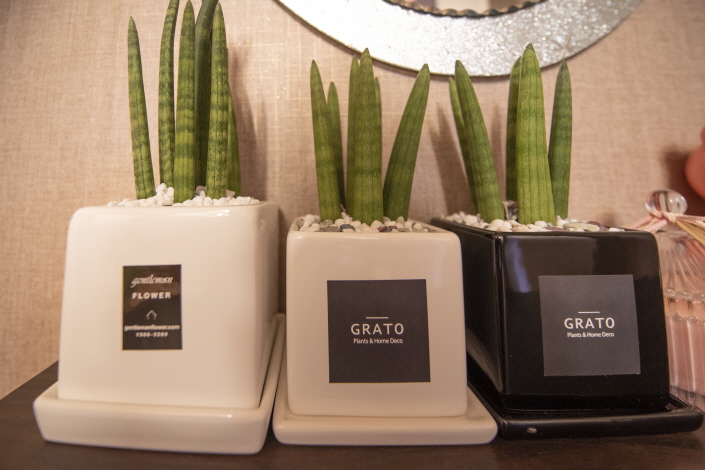 가경동 주변 홍콩아로마 매장 주요 시설 및 인테리어 사진