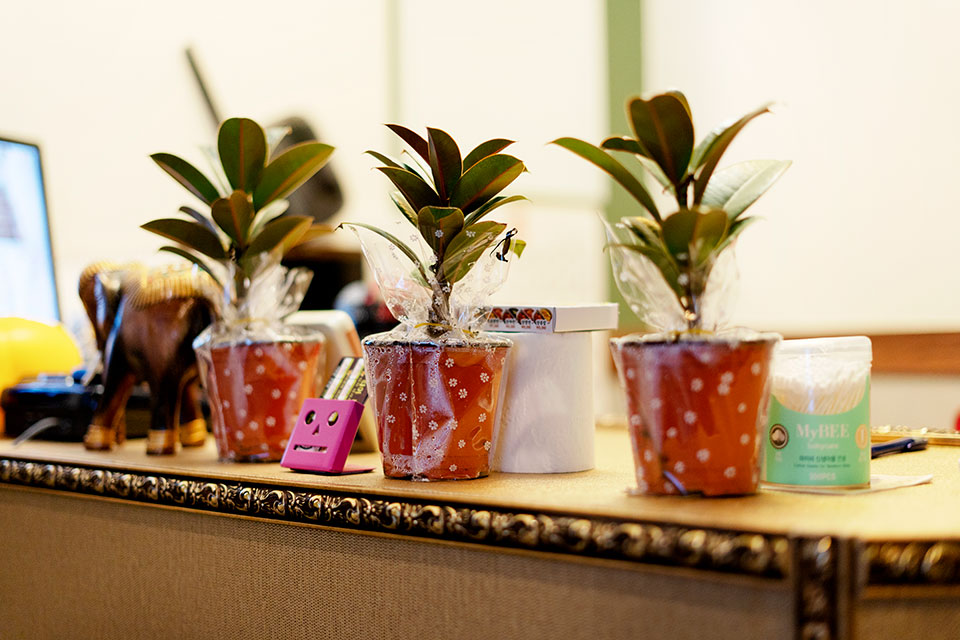 역삼역,신논현역 주변 태국마사지 추천 매장 힐링전통테라피의 전체적인 인테리어 모습