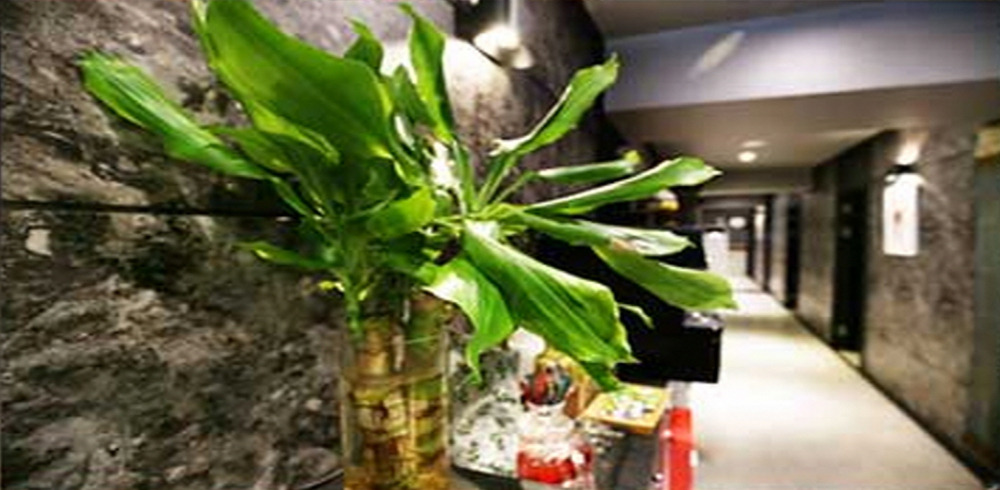 발산역,양천향교역 주변 더힐스웨디시 매장 주요 시설 및 인테리어 사진