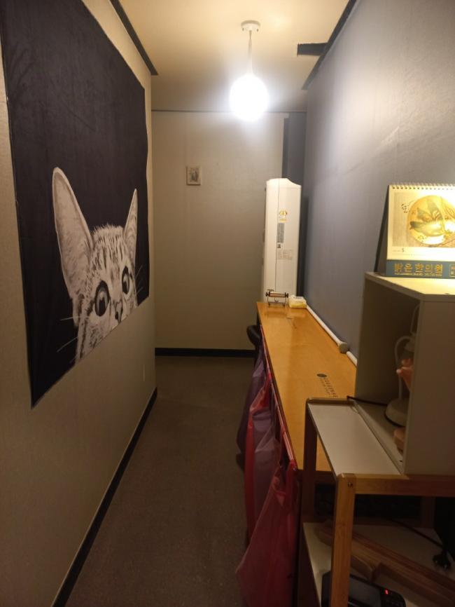 캣츠테라피 - 두산동 황금역,수성못역,어린이회관역 인근 스웨디시 전문 마사지 매장 전경