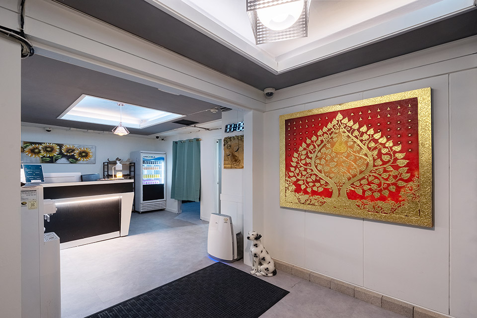 정왕동 인근 타이, 아로마 서비스가 제공되는 황제&베트남의 전체 시설