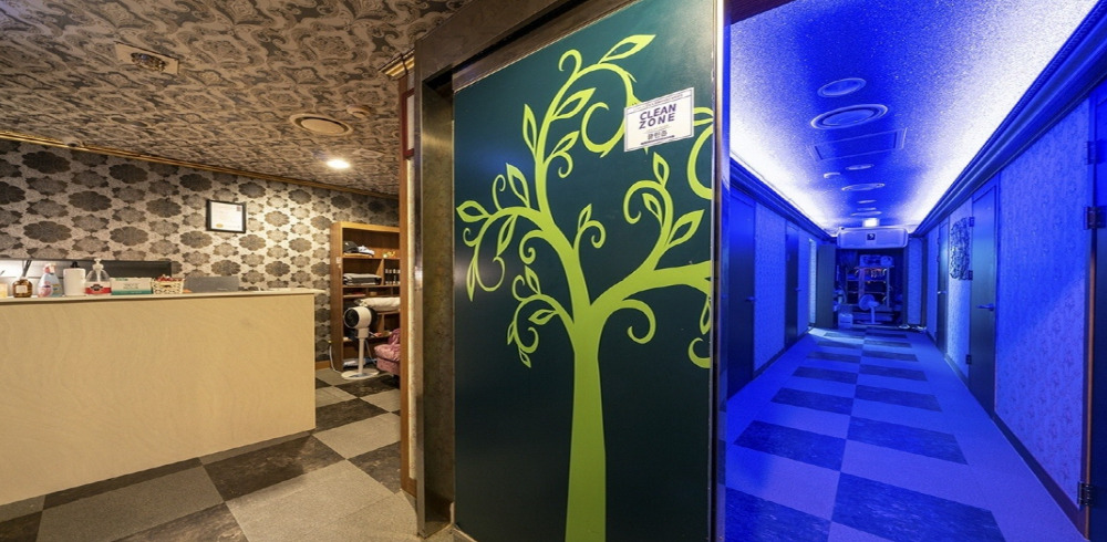 효창공원앞역,용산역,신용산역,남영역,공덕역 인근 타이, 아로마, 스웨디시 서비스가 제공되는 트리쉐이드&스웨디시의 전체 시설