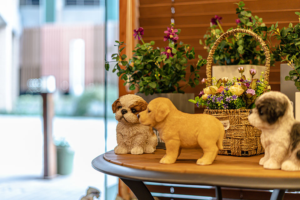 천안아산역,아산역 인근 한국관리사, 태국관리사 마사지 전문 휴스파&타이의 아늑한 내부 시설 안내