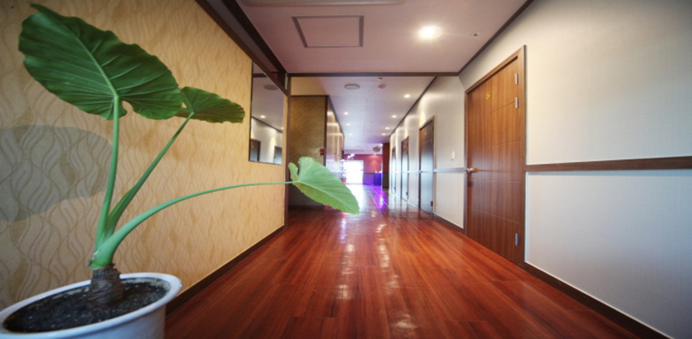 솔샘역,삼양역,삼양사거리역,미아역,미아사거리역,미아삼거리역에 위치한 아로마, 건식/스포츠, 커플관리, 풋케어 서비스 가능 미아천족당 시설