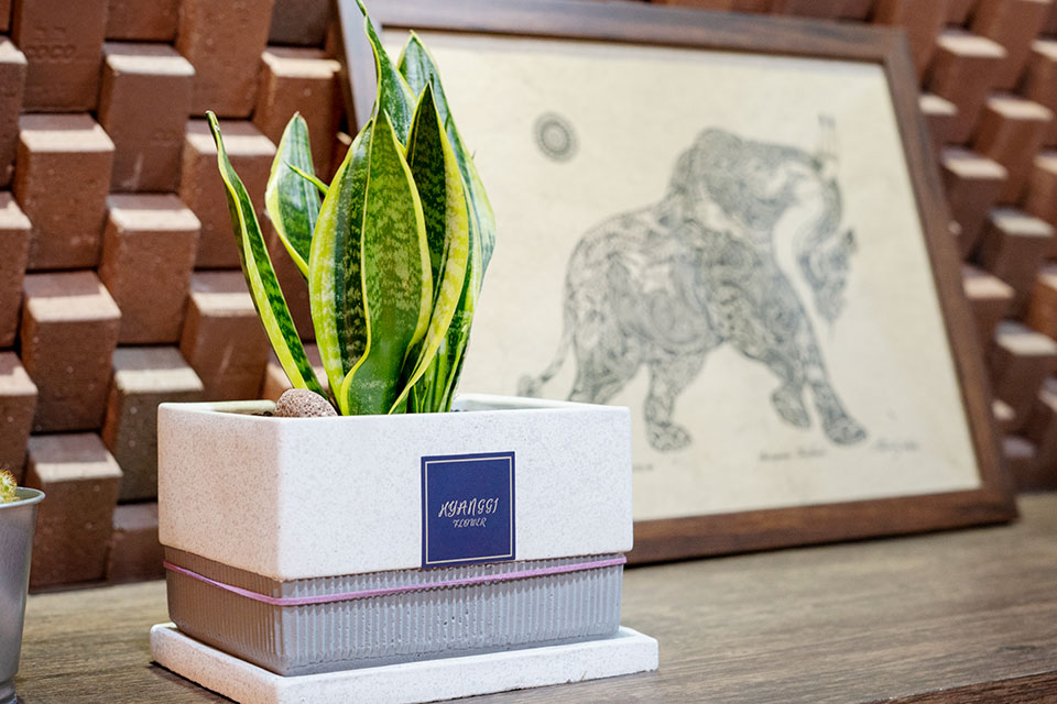 목동 진타이테라피 주차가능, 샤워가능, 단체예약 완비된 시설 사진