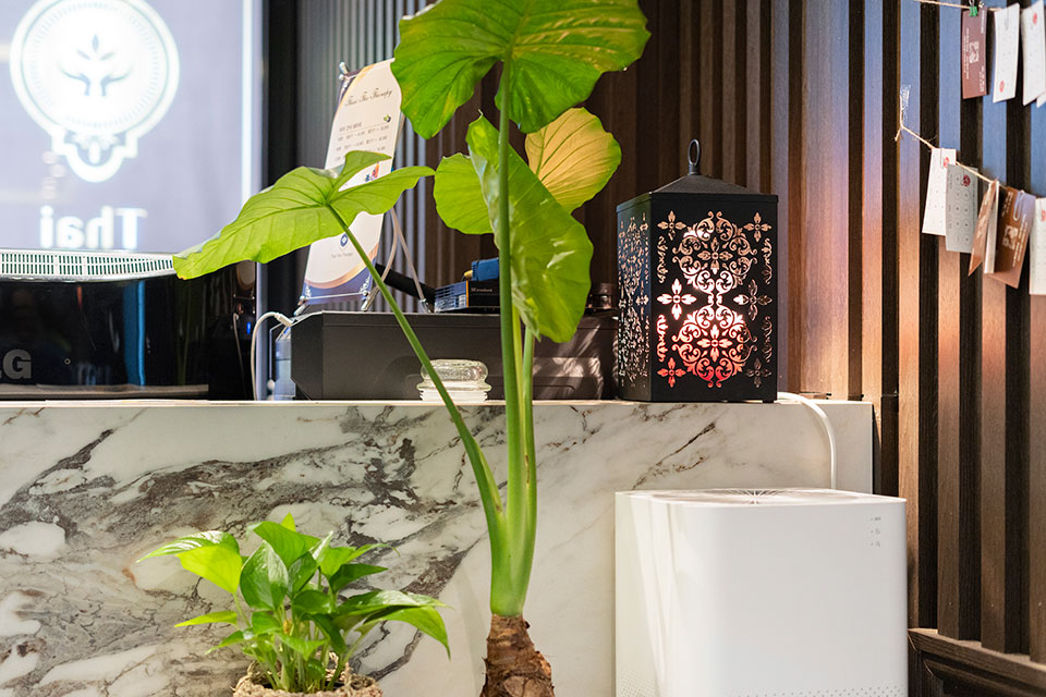 더타이테라피 - 주안동 주안역,시민공원역,석바위시장역 인근 주차가능, 샤워가능, 단체예약 완비된 마사지 시설