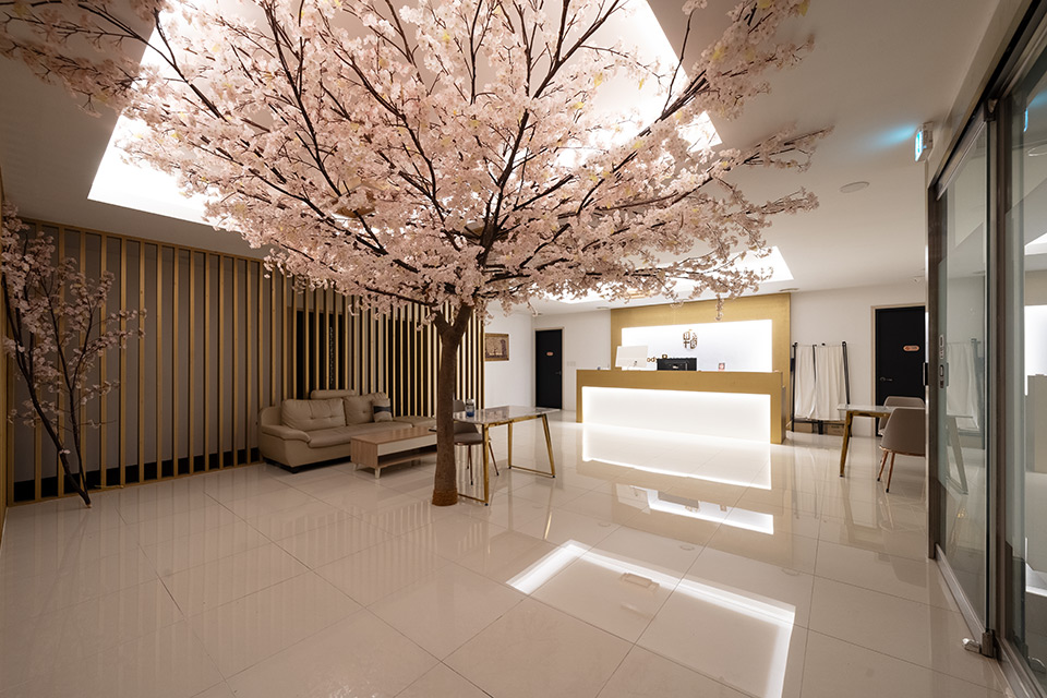 태국마사지 관리 전문 마사지 매장 비비타이밸런스 내부 공간