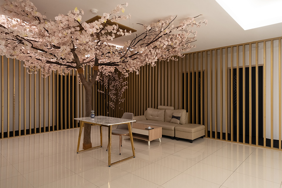 용담동 주변 비비타이밸런스 매장 주요 시설 및 인테리어 사진