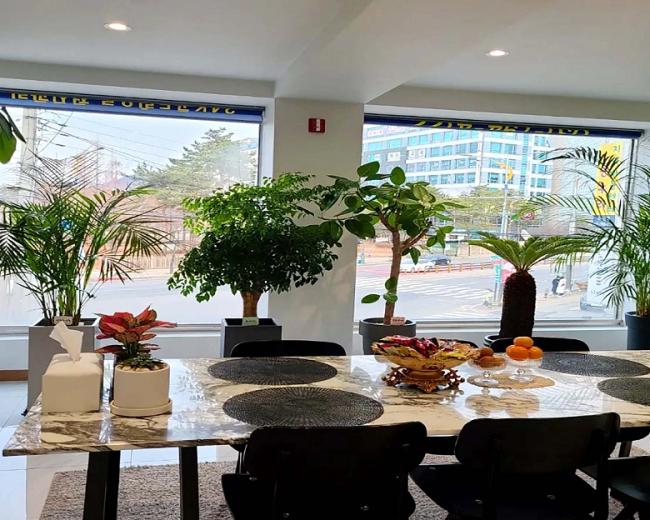 덕풍동 스파앤테라피