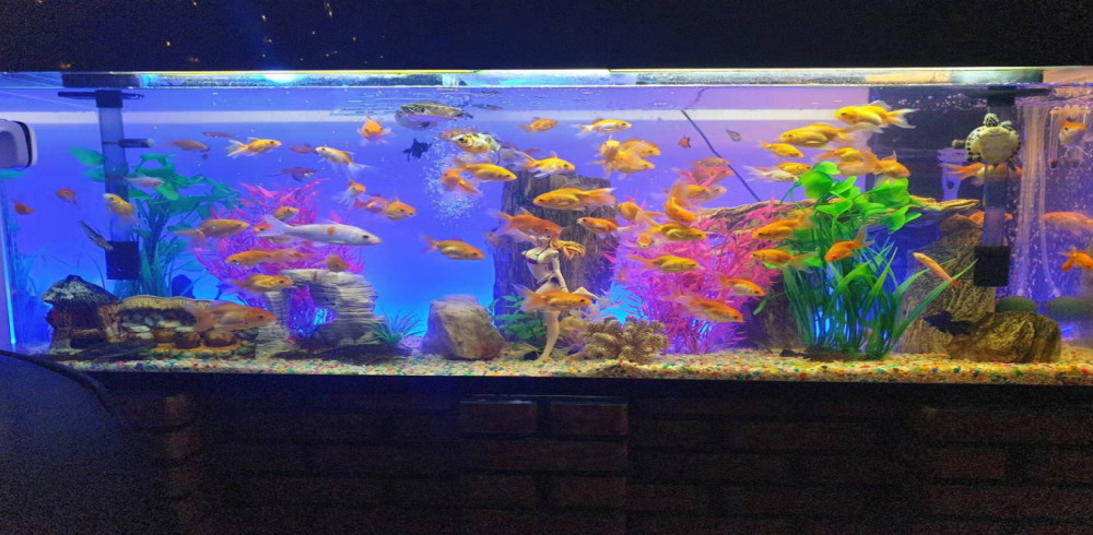 부천역 주변 엄지손 매장 주요 시설 및 인테리어 사진