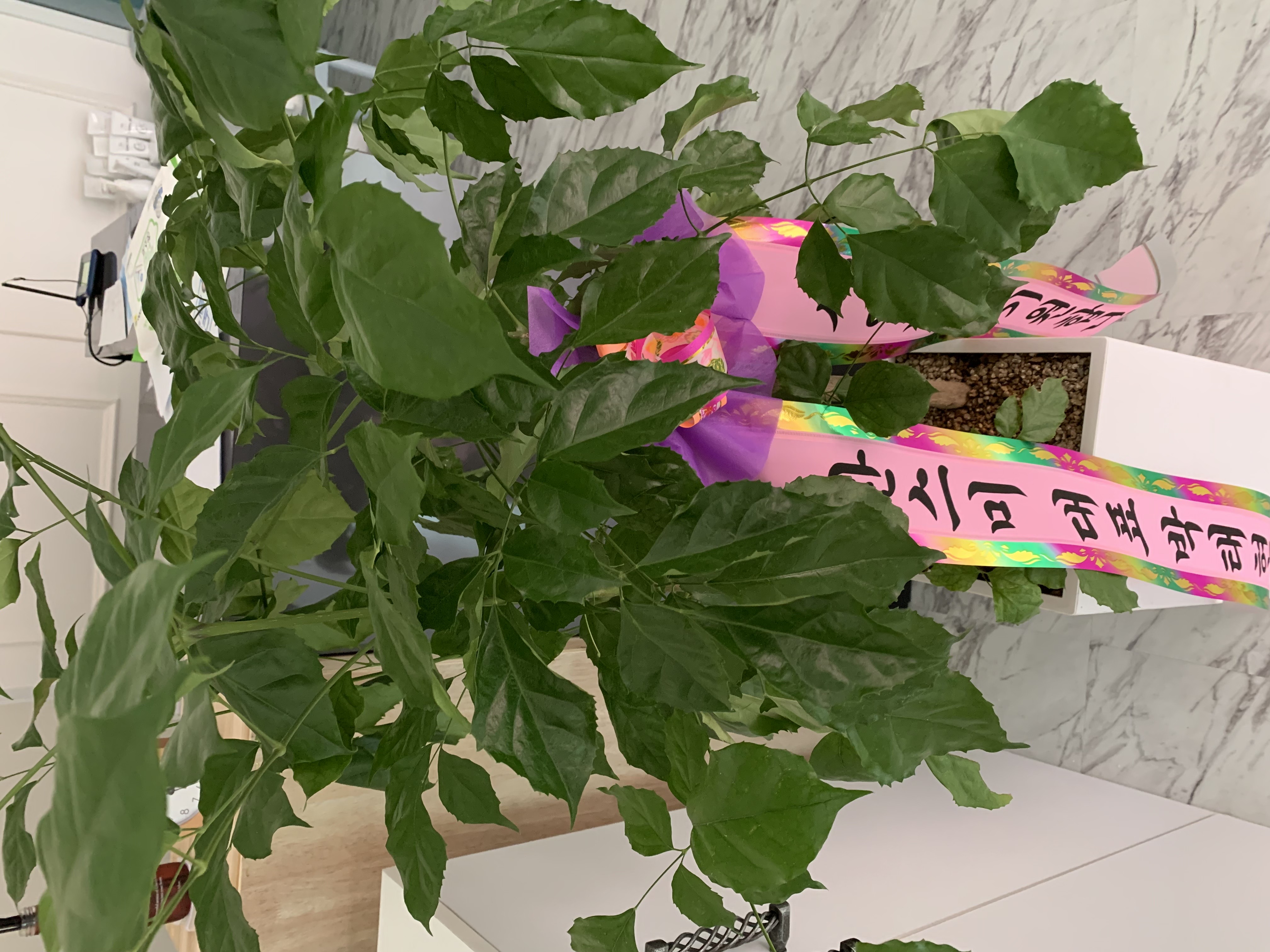 신대리 중국마사지 전문 엄지손풋바디의 깔끔하고 정돈된 내부 전경