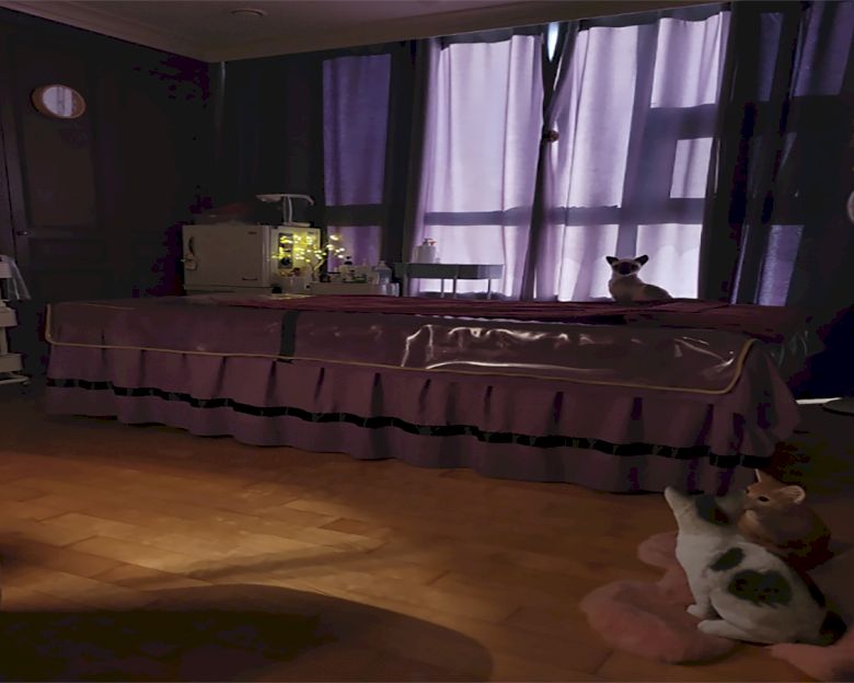 민락역,센텀시티역,벡스코역 주변 한국마사지 추천 매장 센텀여우테라피의 전체적인 인테리어 모습