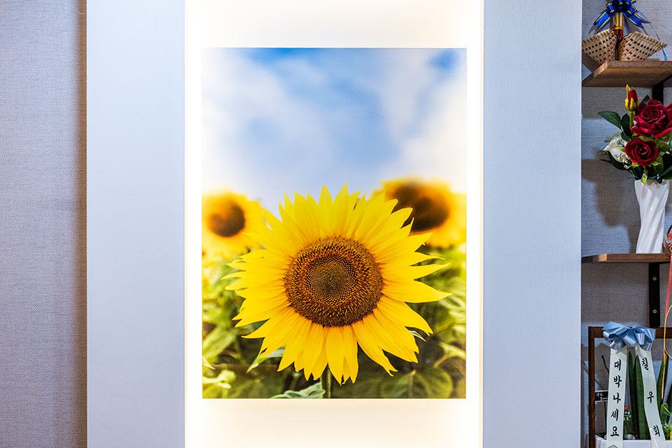 더타이샵 - 두류동 감삼역,두류역,내당역 주변에서 방문하기 편한 마사지 매장