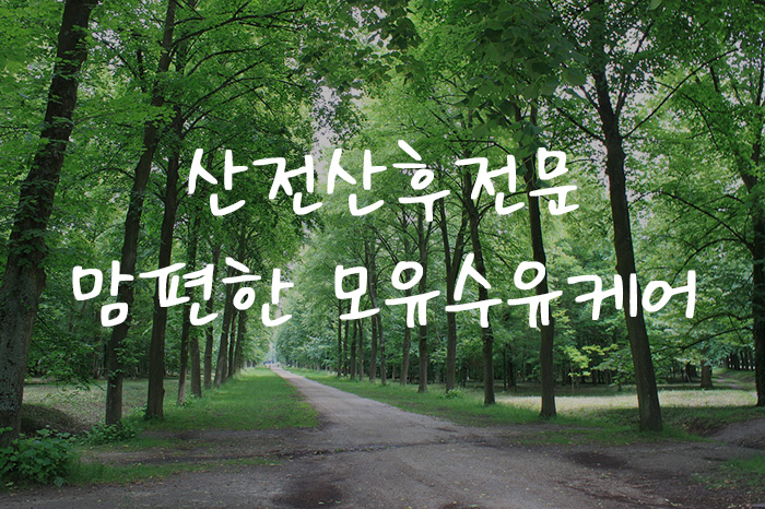 맘편한모유수유(양천) - 신정동 양천구청역 인근 산전/산후 전문 마사지 매장 전경