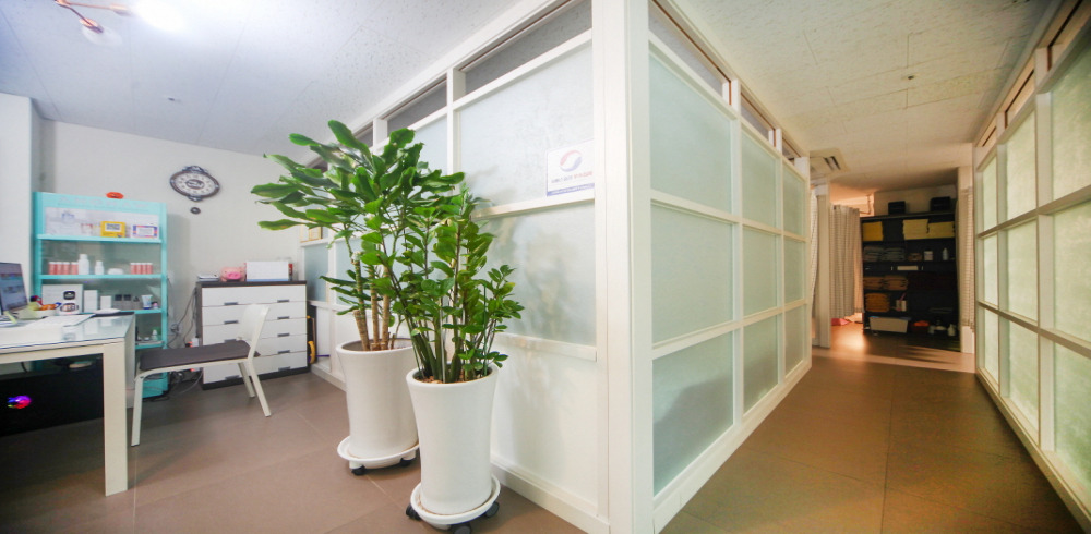 신풍역,보라매공원역,보라매역,서울지방병무청역 주변 중국마사지 추천 매장 필건강힐링 의 전체적인 인테리어 모습