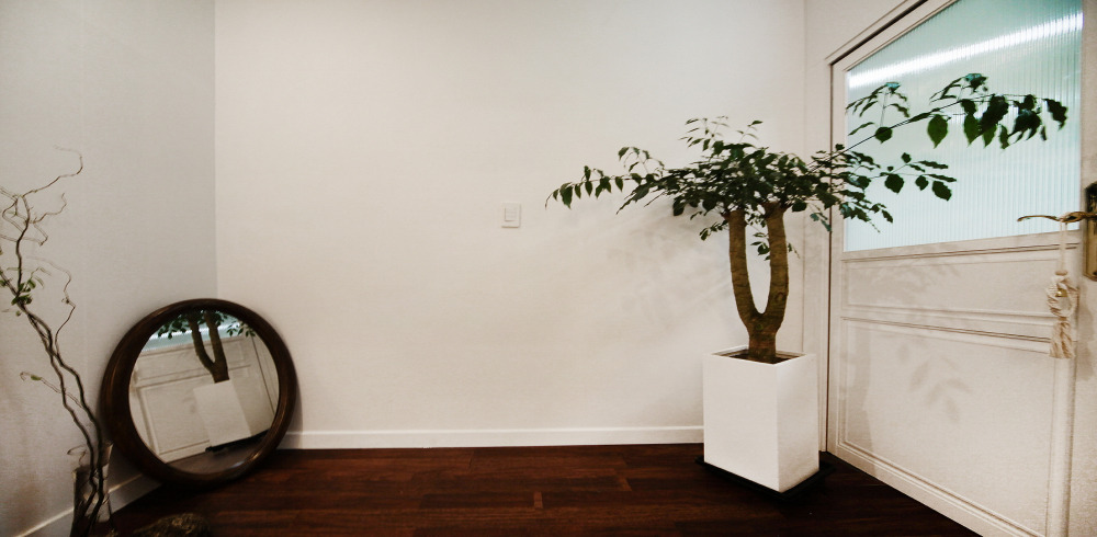 센텀시티역,벡스코역에 위치한 커플관리, 뷰티/에스테틱 서비스 가능 청담민에스테틱(센텀) 시설