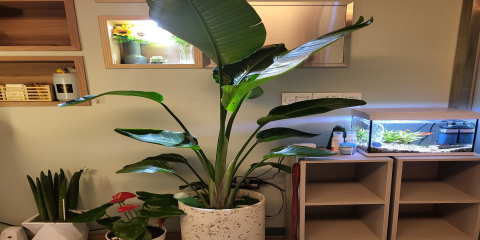 퇴계동 인근 스웨디시 서비스가 제공되는 지첸테라피의 전체 시설