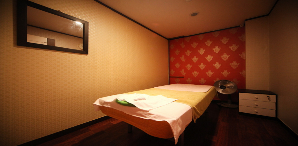 플러스아로마 - 양재동 양재시민의숲역 인근 주차가능, 24시간, 샤워가능, 수면가능 완비된 마사지 시설