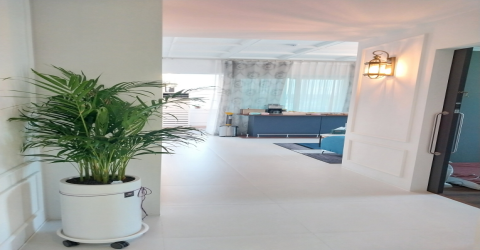 도룡동 브이테라피 - 한국마사지 관리를 위한 최적의 힐링 공간