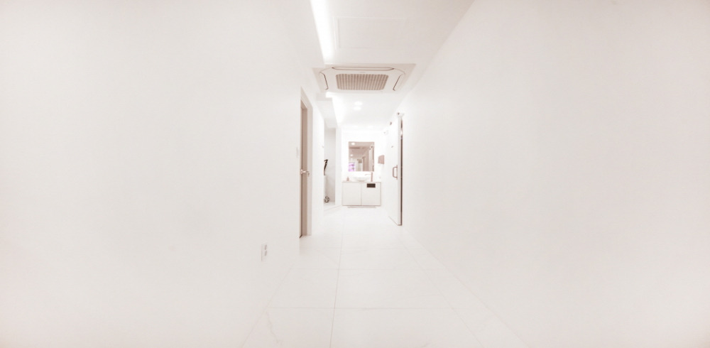 신사동 에스테틱 전문 디토에스테틱왁싱의 깔끔하고 정돈된 내부 전경