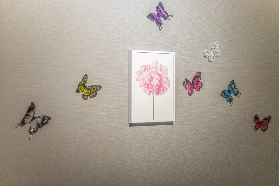 스웨디시 관리 전문 마사지 매장 나비테라피 내부 공간