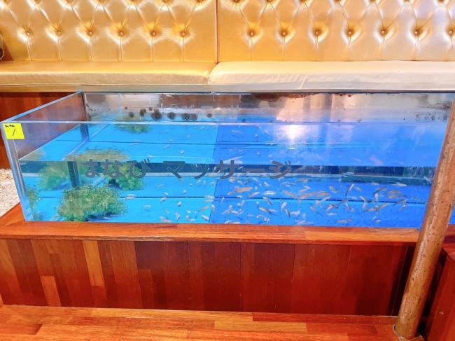 하나비테라피 - 동광동3가 자갈치역,남포역,중앙역 주변에서 방문하기 편한 마사지 매장