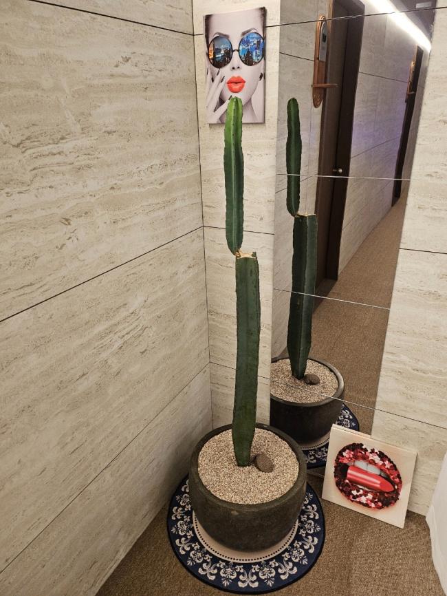 스웨디시 서비스가 제공되는 우두동 뚝방스웨디시 매장 내부 사진