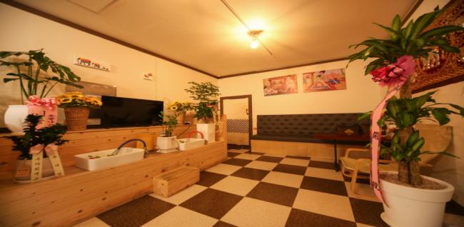 쌍용동 애니타이