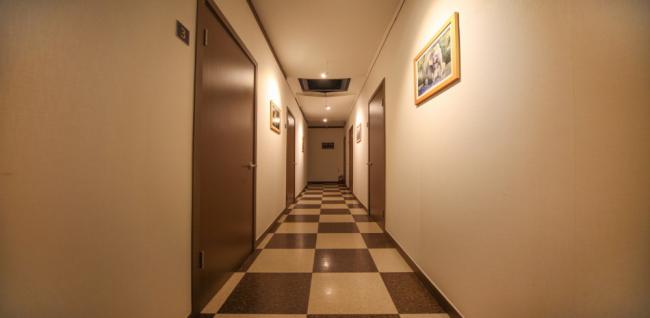 쌍용동 애니타이