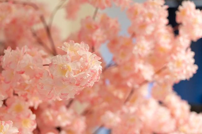 구래동 J테라피