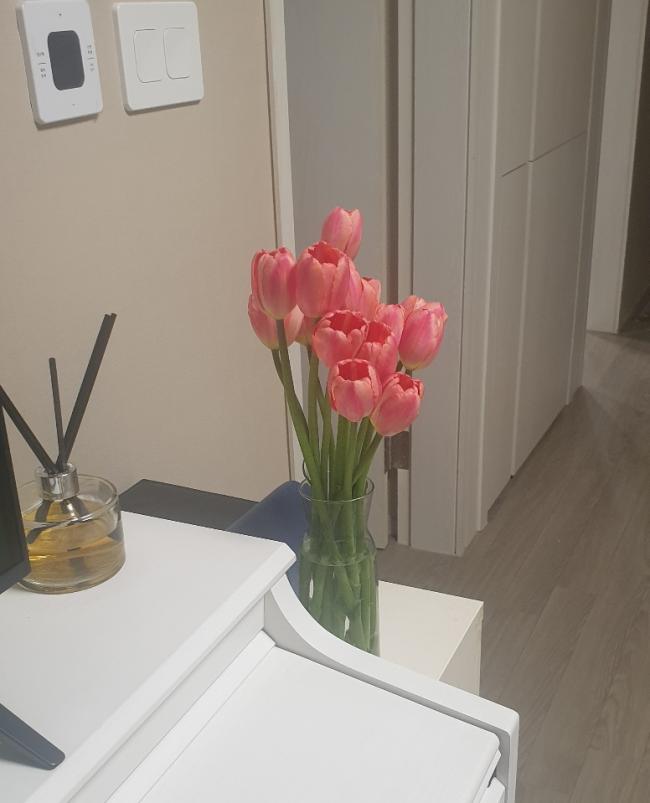 잠실동 1인샵 전문 1인샵 라울의 깔끔하고 정돈된 내부 전경