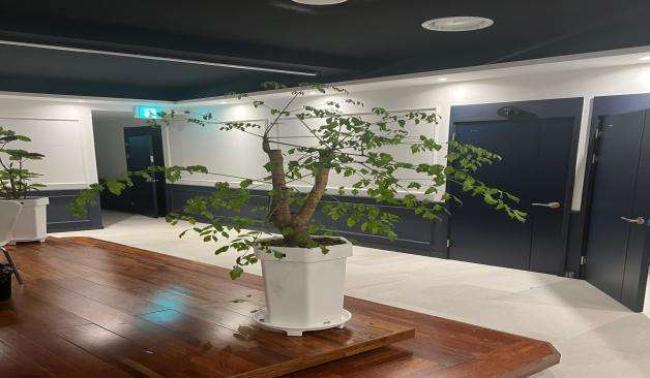 치평동 세차장스웨디시