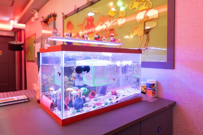 두성리 다손마사지