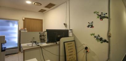 신림동 판다테라피