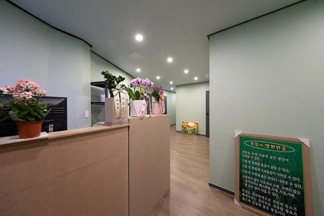 신타이 - 완전리 인근 태국마사지 전문 마사지 매장 전경