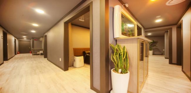 역삼역,매봉역,양재역 인근 아로마, 건식/스포츠, 커플관리 서비스가 제공되는 예림테라피의 전체 시설