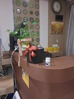 골드힐링 - 여의도동 여의도역,대방역,샛강역,여의나루역,노량진역 인근 전문 마사지 매장 전경