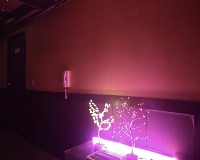 스웨디시 서비스가 제공되는 삼산동 나비테라피 매장 내부 사진