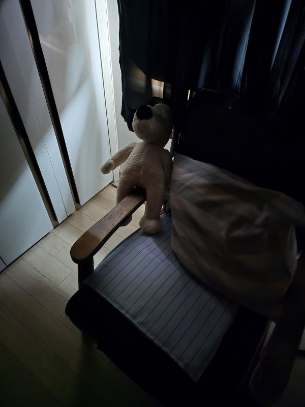 후기 사진