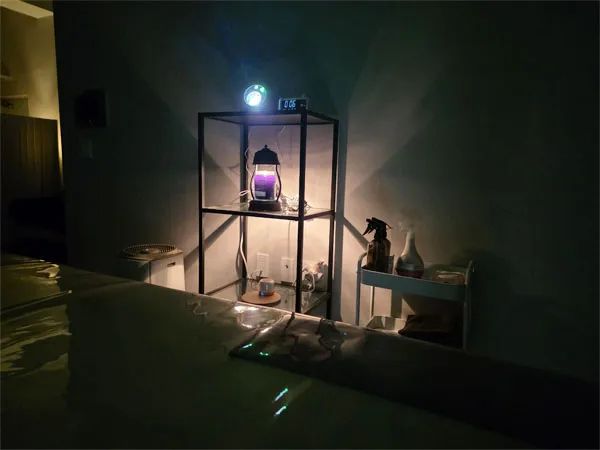 후기 사진
