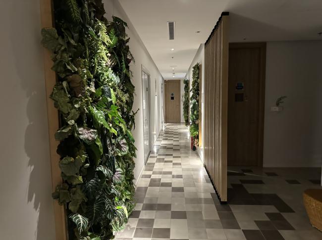 나트랑 호안하오 스파