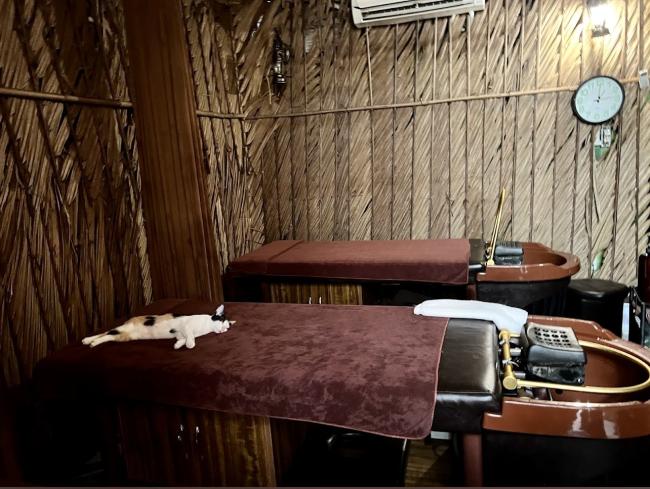 호치민 파야 타이 스파