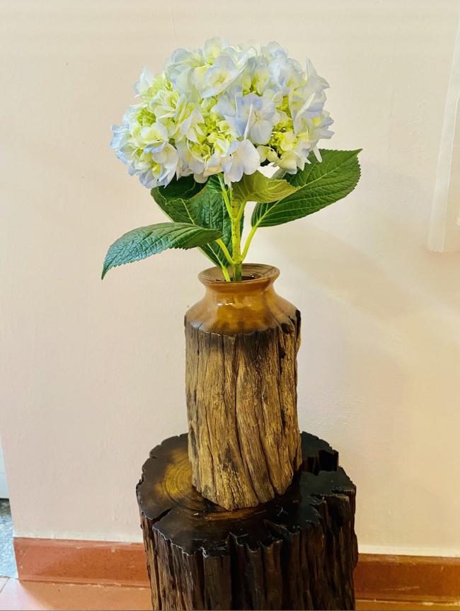 하노이 케미칼 프리 스파