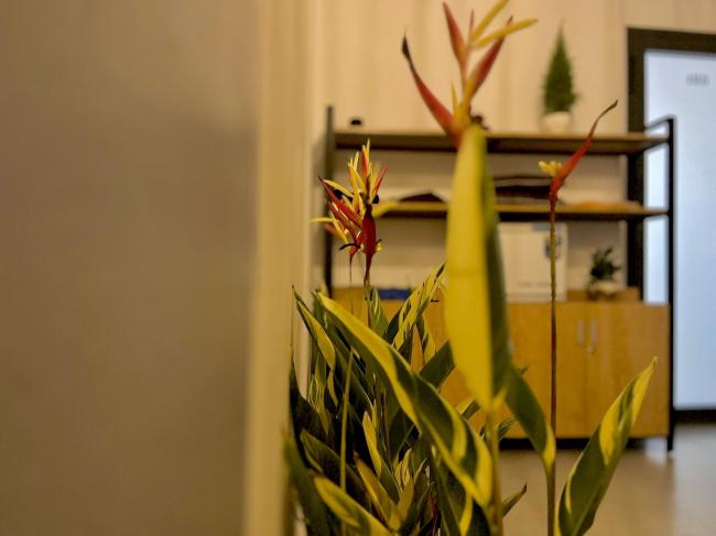 호치민 탄노 스파