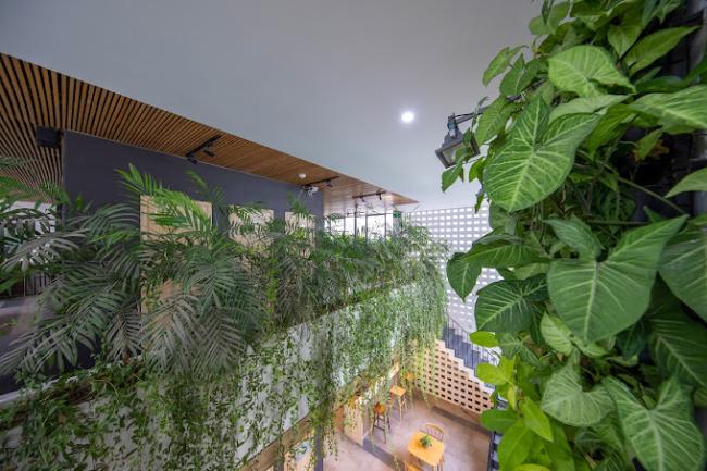 다낭 바빌론 스파