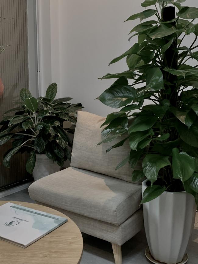 다낭 소울 리트릿 스파