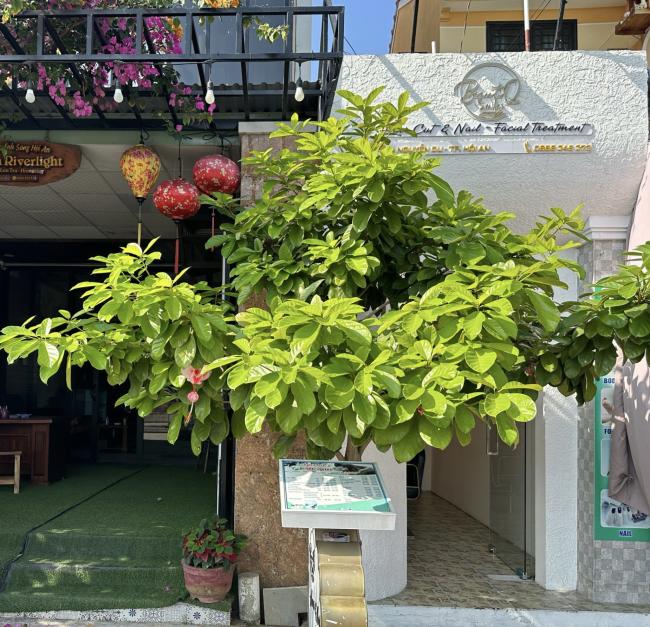 호이안 뷰티스마일 스파