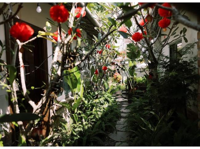 나트랑 5센스 스파