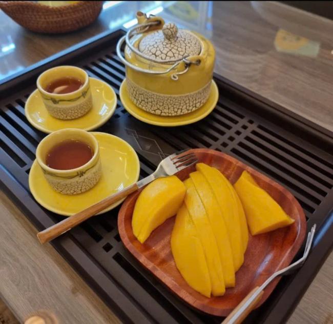 다낭 아리아 스파